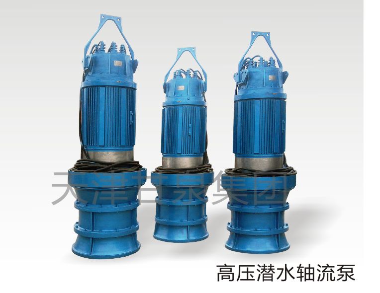 潜水轴流泵